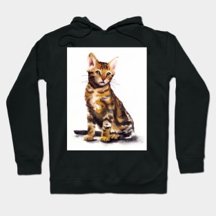 Cat 01 Hoodie